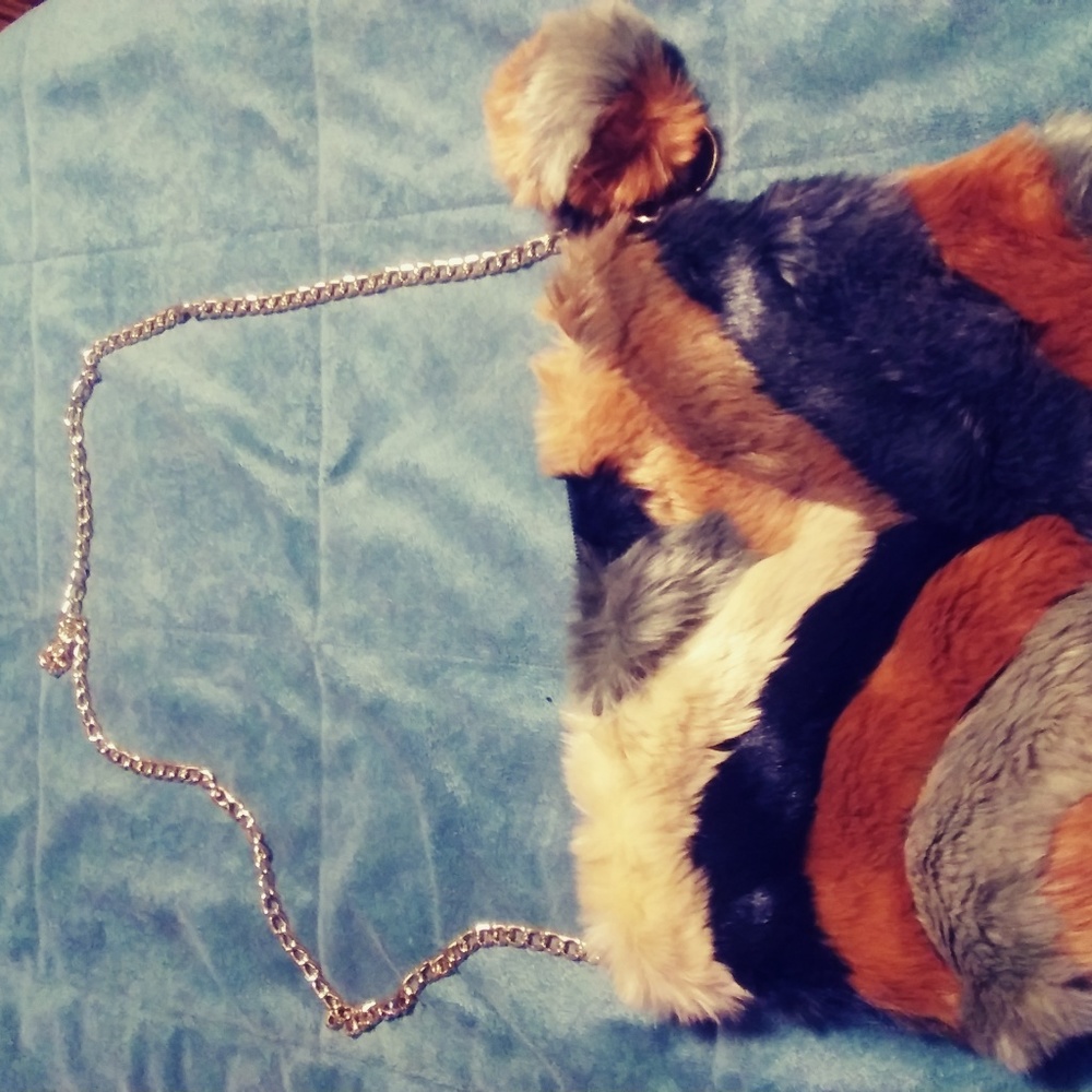 purse